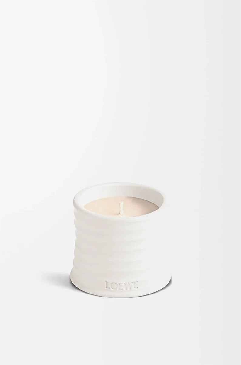 vela pequeña de orégano blanca