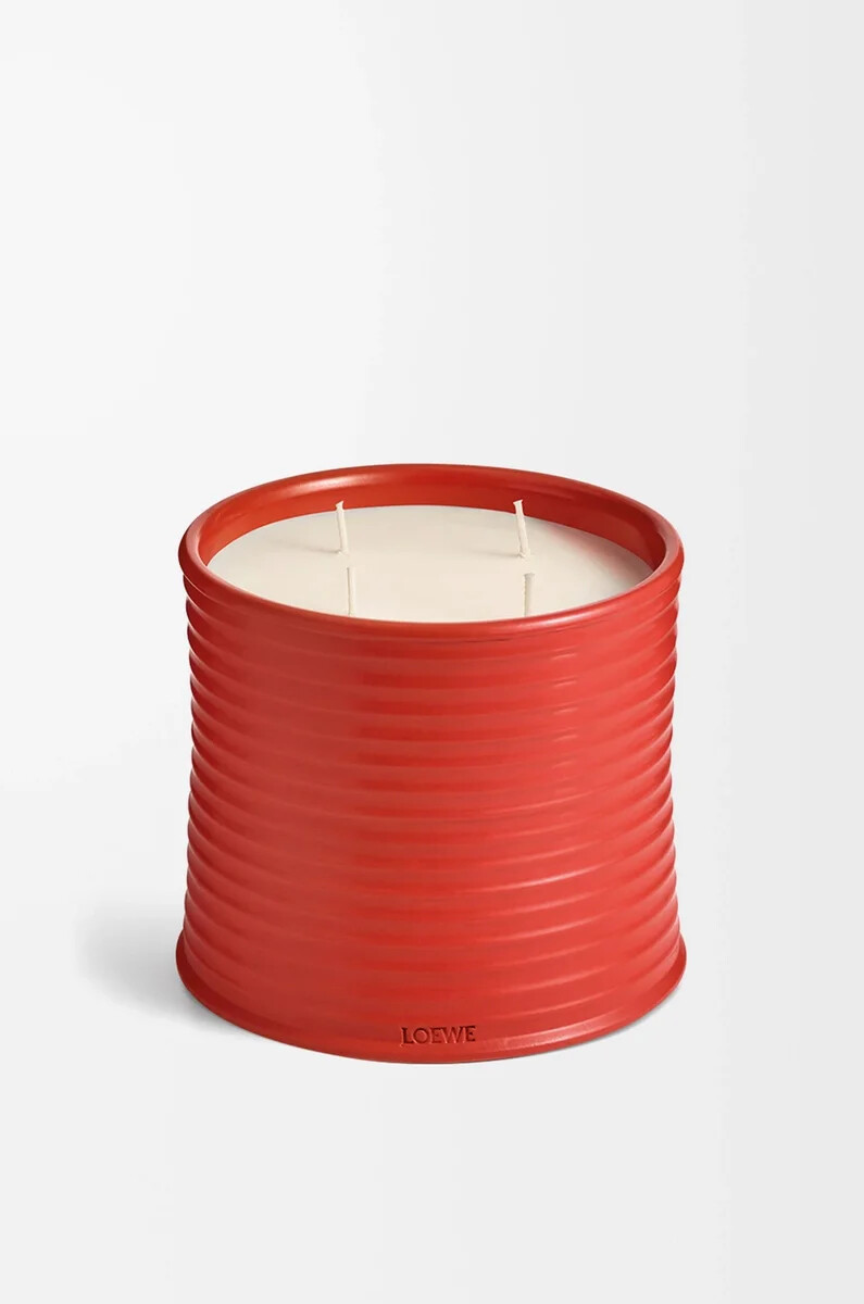 vela de hojas de tomate grandes rojas