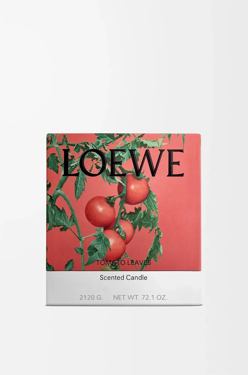 vela de hojas de tomate grandes rojas
