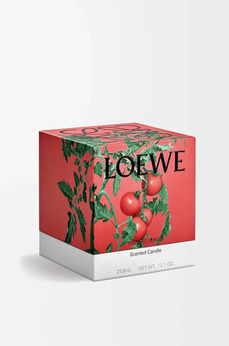 vela de hojas de tomate grandes rojas