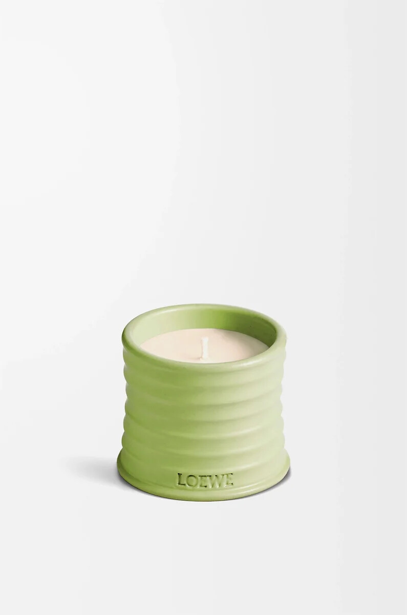 vela pequeña de pepino verde claro