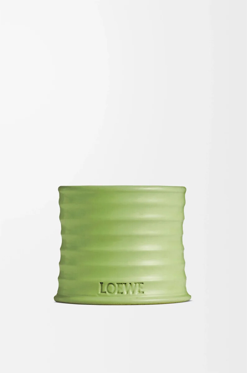 vela pequeña de pepino verde claro