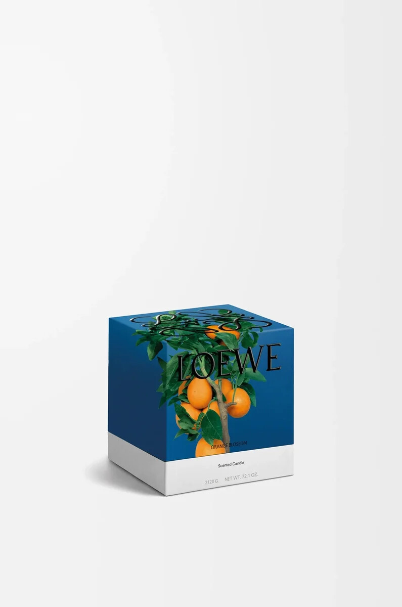 vela pequeña de flor de naranja mandarina brillante