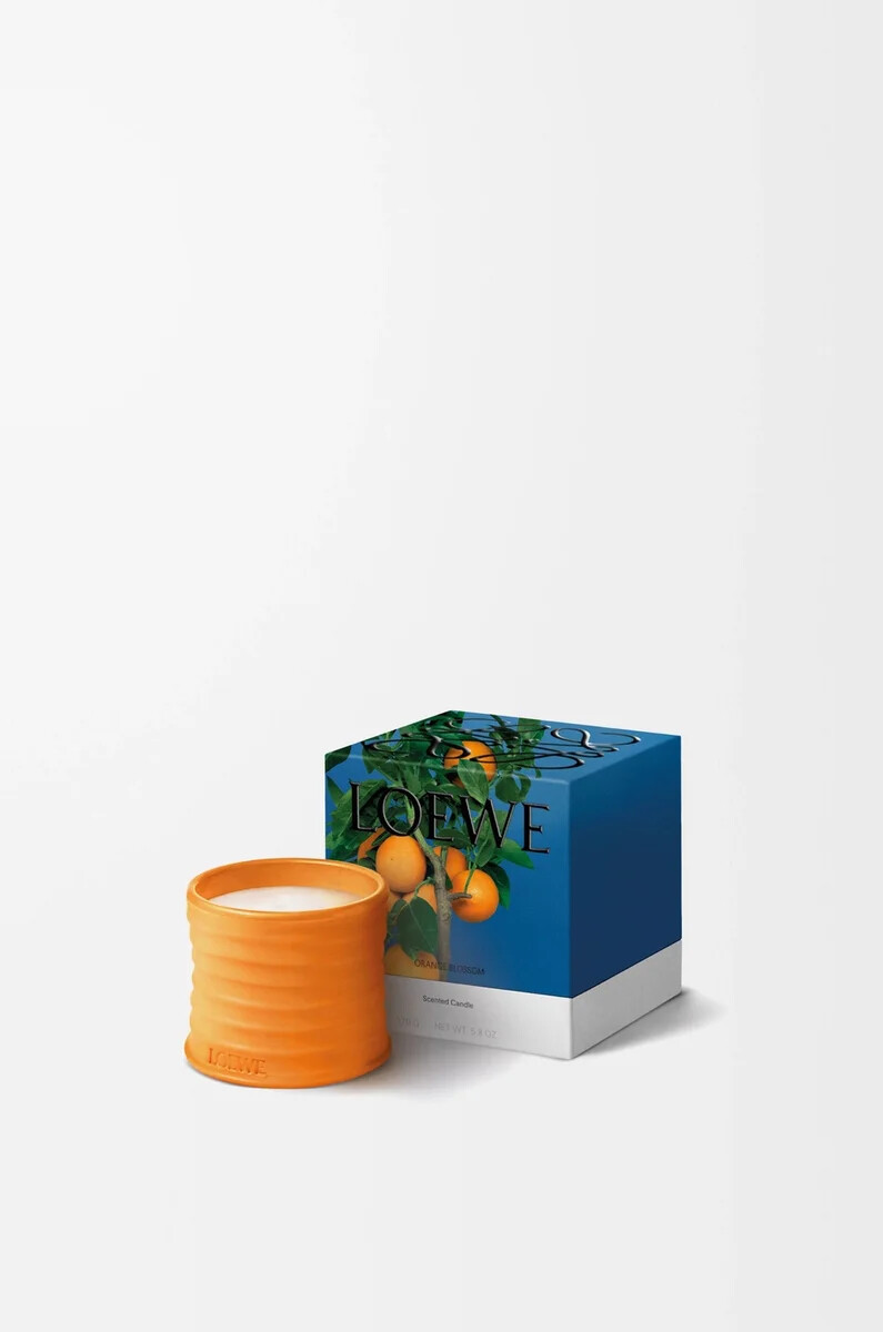 vela pequeña de flor de naranja mandarina brillante
