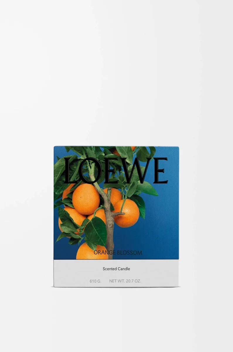 vela mediana de flor de naranja mandarina brillante