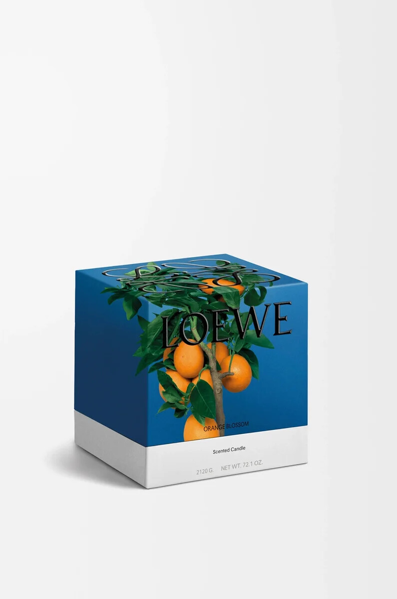 vela mediana de flor de naranja mandarina brillante